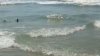 Shark Myrtle Beach .jpg