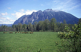 280px-Mt_si_and_meadowbrook_cows.jpg