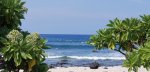 Pine-Trees-Beach-between-2-trees.jpg