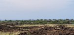 neighborhood-near-Pine-Trees-Beach.jpg