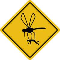 mosquitoes_in_alaska.jpg