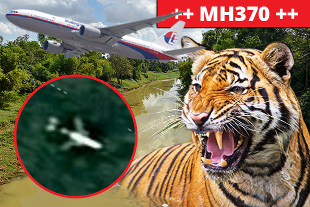 MH370-sighting-cambodian-jungle-tigers-dangerous-google-maps-729770.jpg